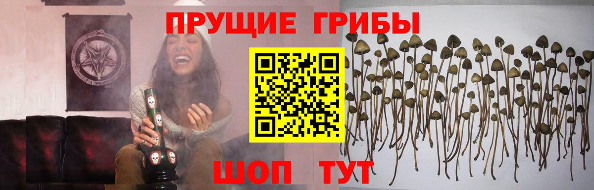 Псилоцибиновые грибы мухоморы Коломна